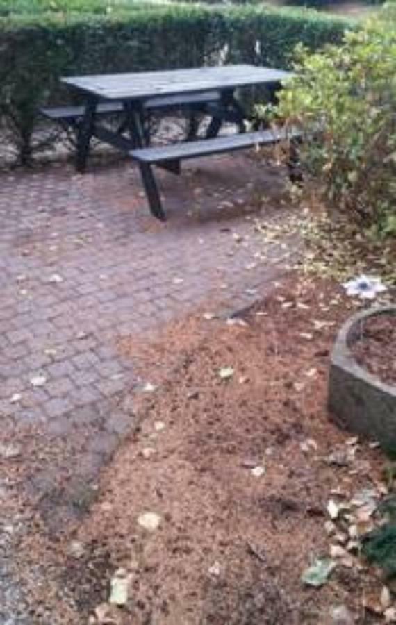 Appartement De Groote Peel Nederweert Eksteriør bilde